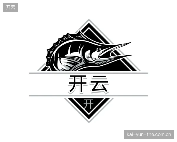 了解开云平台